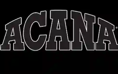 Image Alternative Text