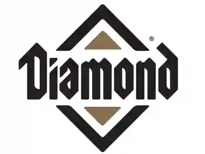 Image Alternative Text