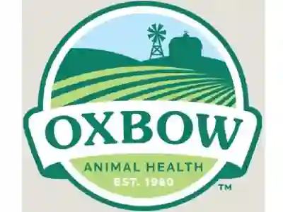 Image Alternative Text