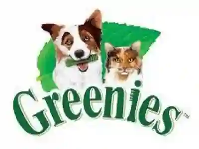 Image Alternative Text